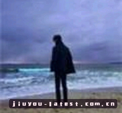 赵宇